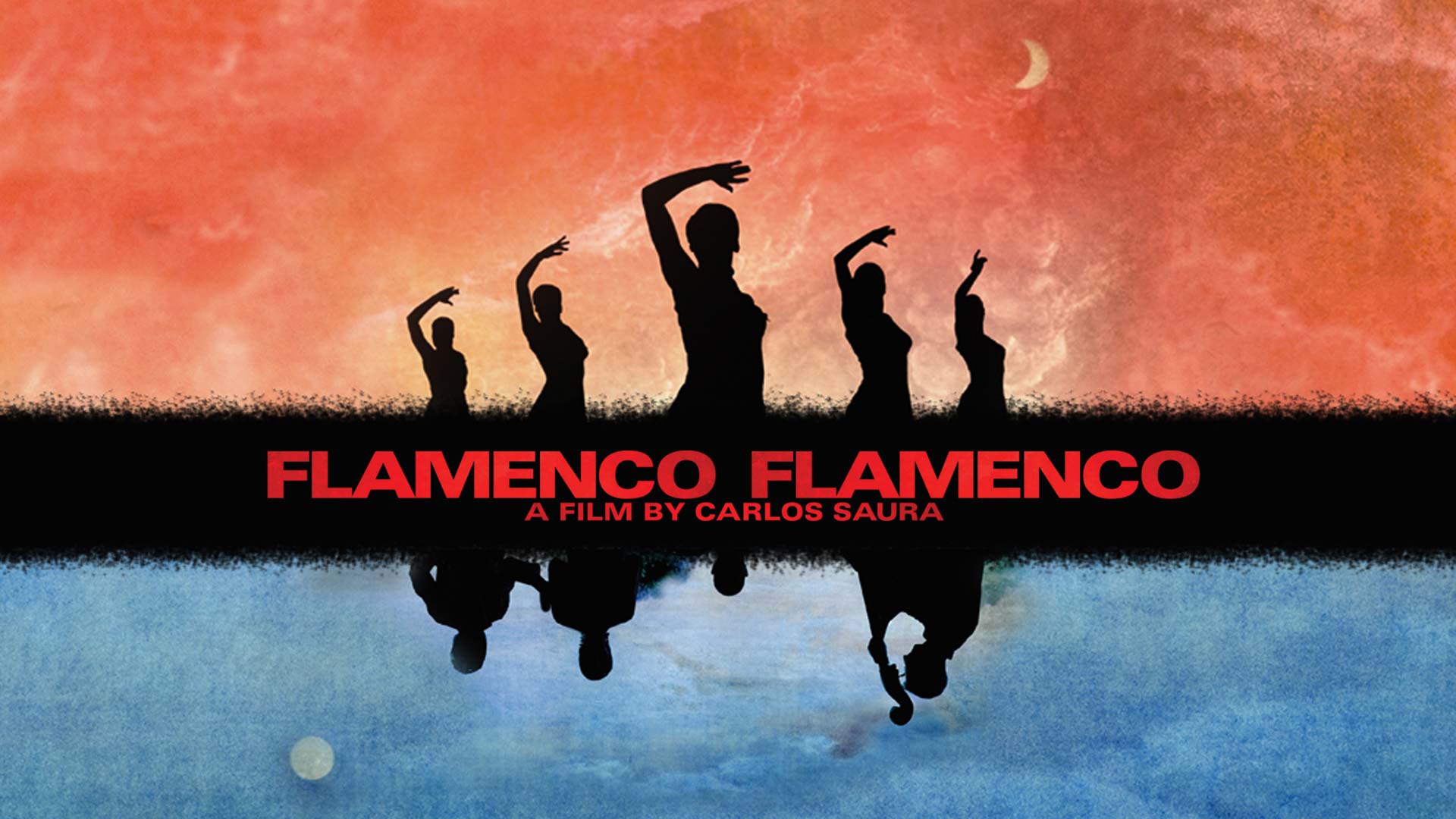 Flamenco, Flamenco