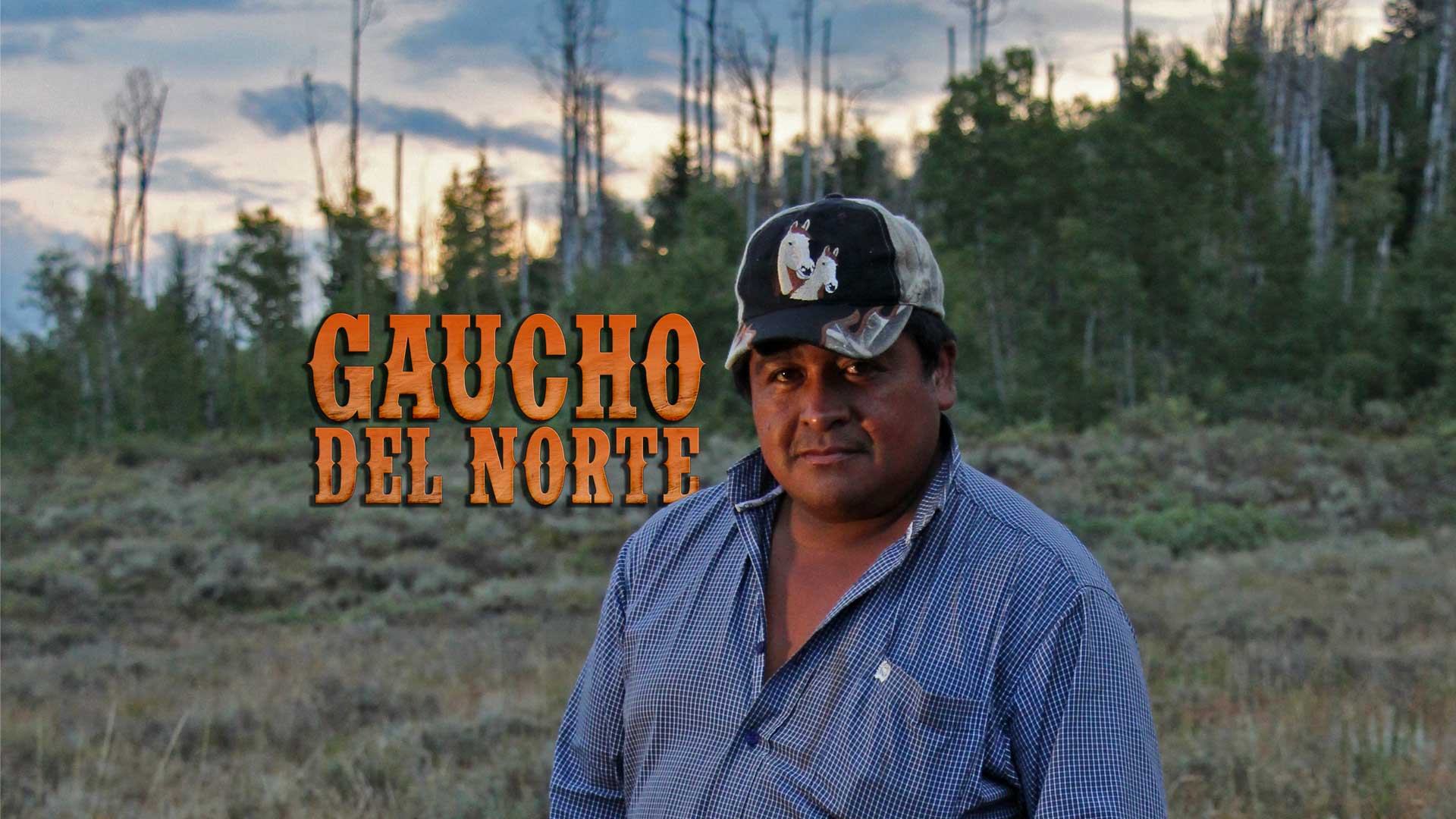 Gaucho del Norte